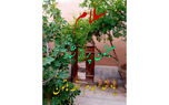 فال روزانه شخصی/ 2 شهریور ماه + فیلم