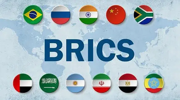 شینا انصاری برای شرکت در نشست وزرای محیط‌ زیست کشورهای عضو بریکس عازم برزیل می‌ شود