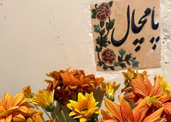 فال ابجد 7 مهر 