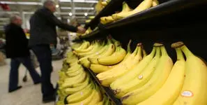 تکذیب توقف واردات موز