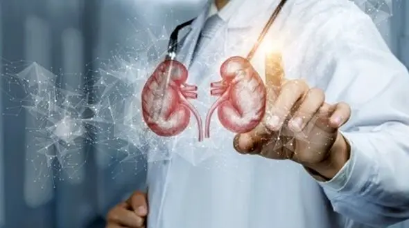 رازهای تغذیه‌ ای برای حفاظت از کلیه‌ ها