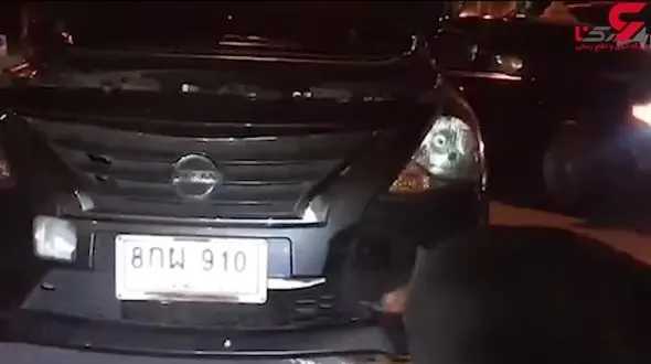 عجیب ترین اتفاق برای یک سگ در تصادف ! + فیلم  / تایلند