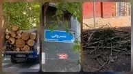 میراث اره‌برقی در بهار پایتخت/ قطع پر تعداد درختان در منطقه ۳ به بهانه آفت زدگی و خشکیدگی در فصل طراوت/  سوءمدیریت بر روند نگهداشت تنفس‌گاه‌های تهران + فیلم