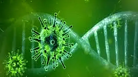 پشت پرده اجساد کرونایی رها شده در غسالخانه قم چیست؟ + عکس