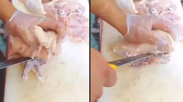 خرد کردن اصولی مرغ + فیلم