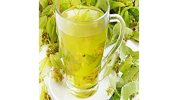 خانم ها از این دمنوش‌ها غافل نشوید !