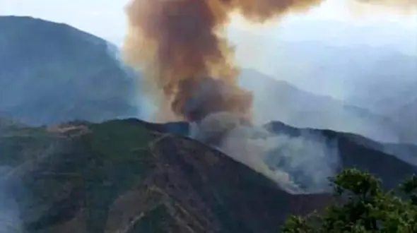 جنگل های ایران همچنان در آتش خاکستر می شوند