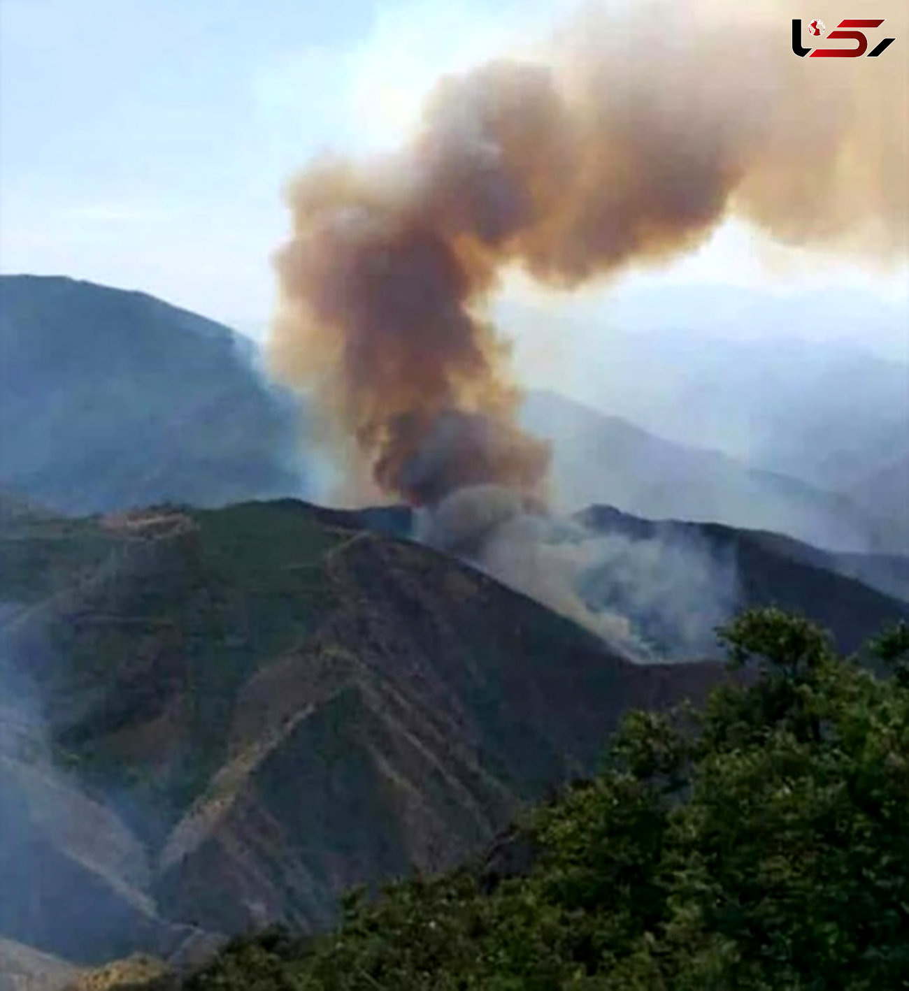 جنگل های ایران همچنان در آتش خاکستر می شوند