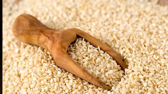 کشف جدید برای درمانی بودن دانه کنجد