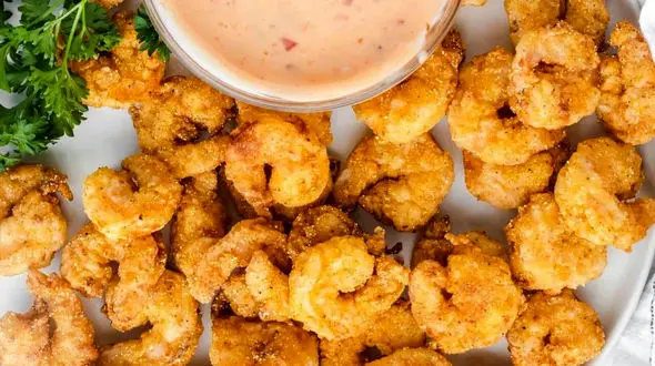 منابع پروتئین کدامند؟ / فیلم