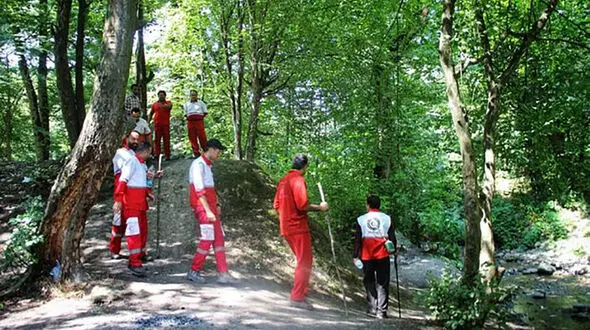 چوپان گمشده در مه پیدا شد