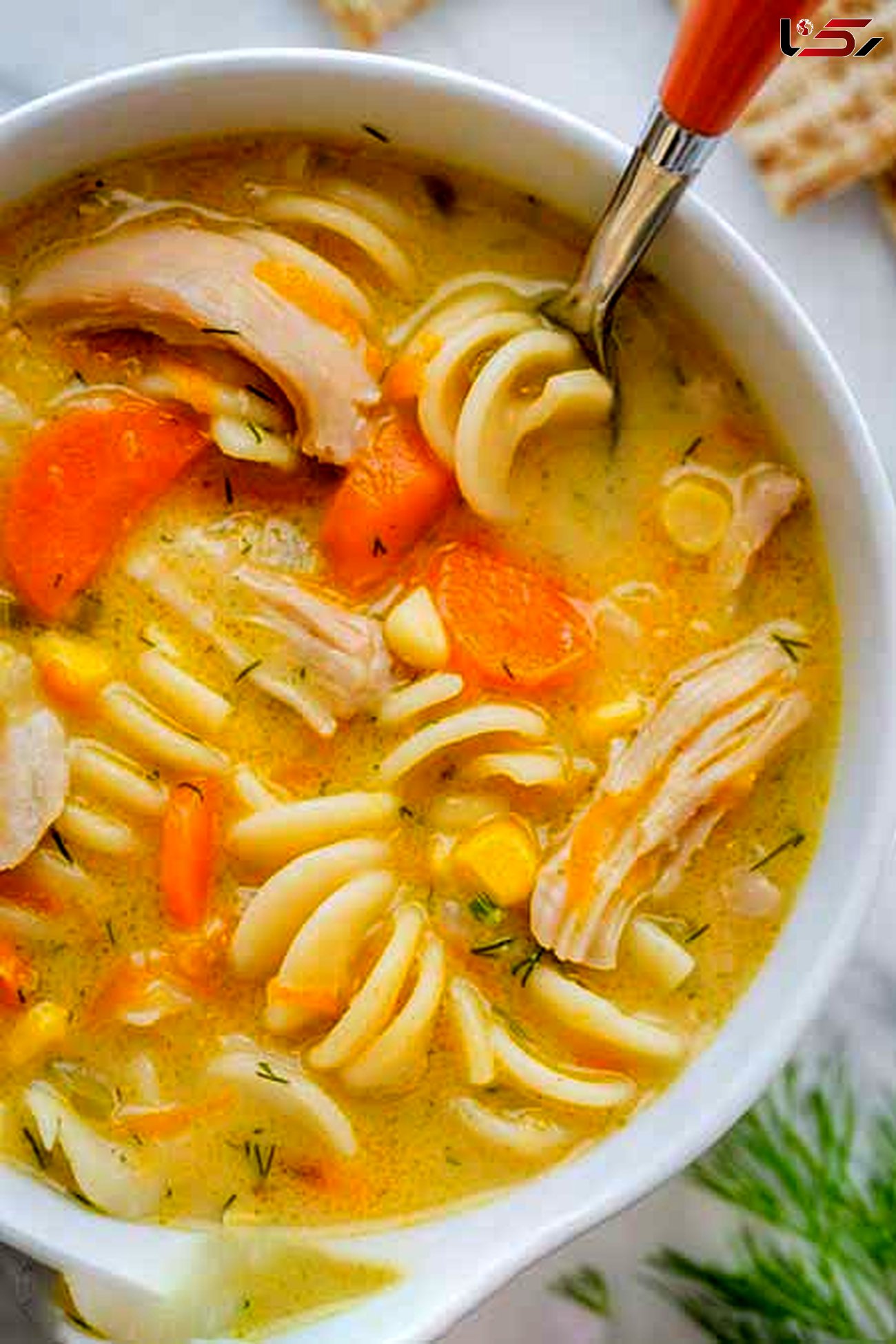 سوپ جوجه و نودل خامه ای یک پیش غذای خوشمزه + دستور تهیه