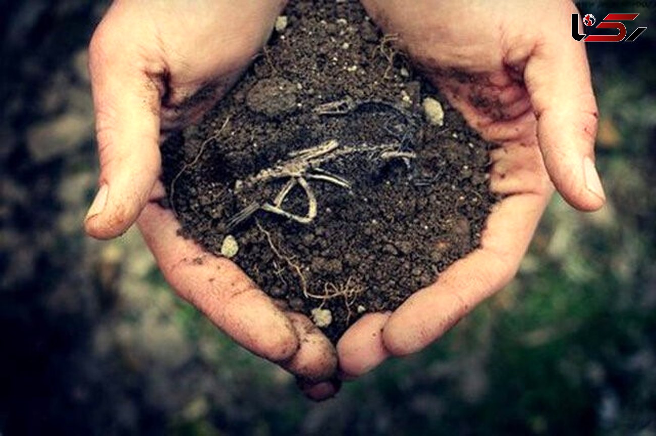 کاربری غیرمجاز عامل خروج سالانه 1.2 هکتار خاک حاصلخیز کشور از چرخه تولید