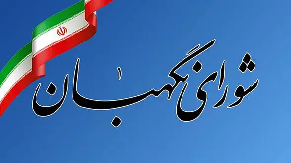 تکذیب نامه همسر رئیس جمهور شهید به شورای نگهبان/ دستگاه قضایی با شایعه‌سازان برخورد کند