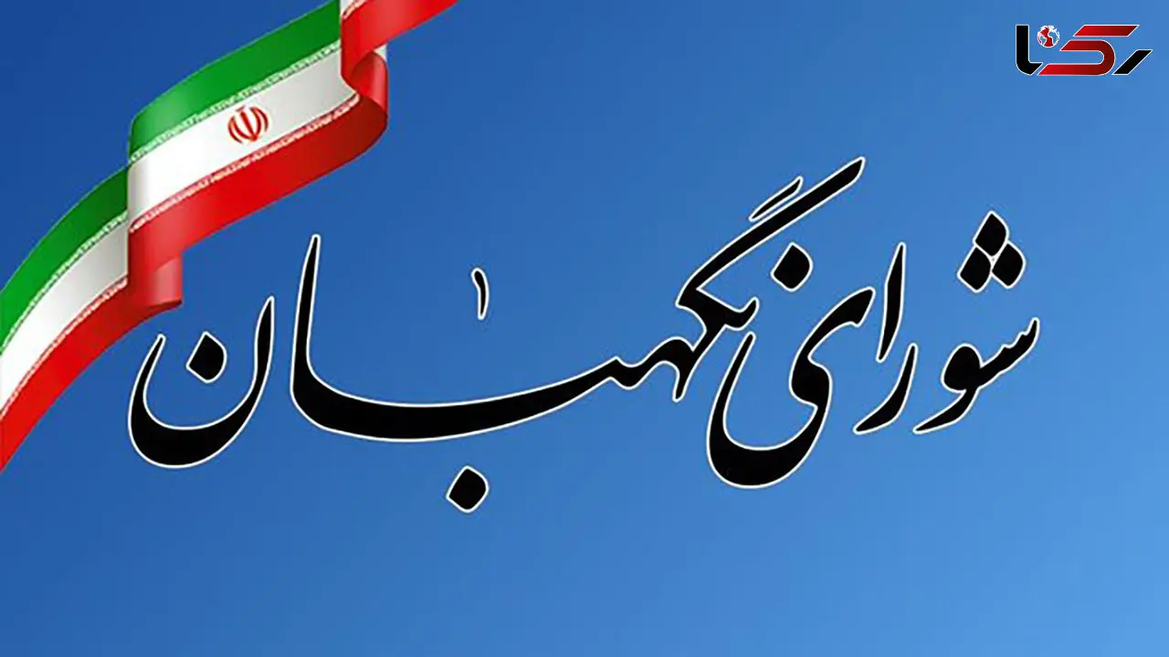 تکذیب نامه همسر رئیس جمهور شهید به شورای نگهبان/ دستگاه قضایی با شایعه‌سازان برخورد کند