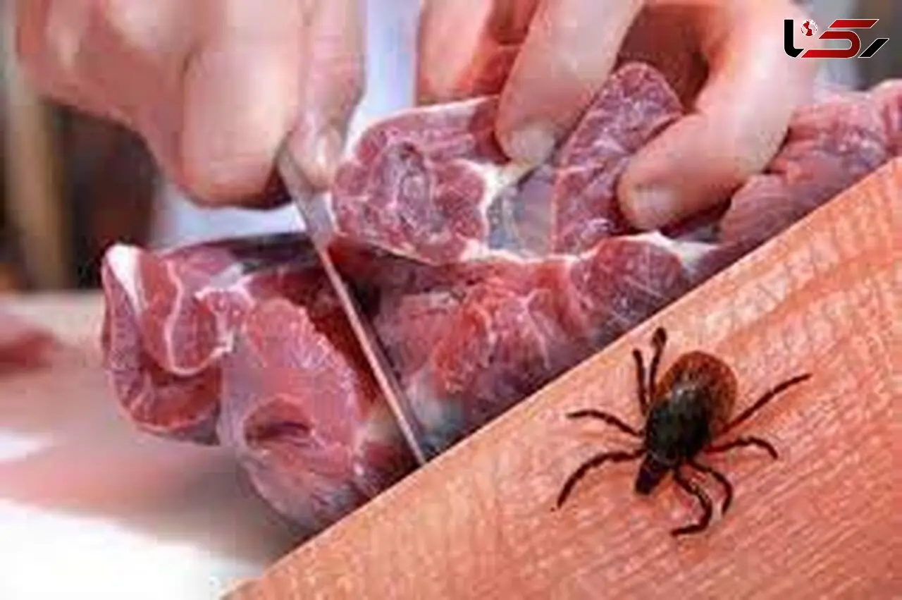 هشدار دامپزشکی خوزستان درباره خطر افزایش تب کریمه کنگو