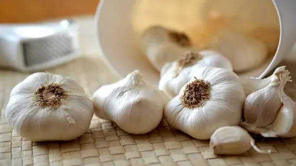 همه خواص سیر 