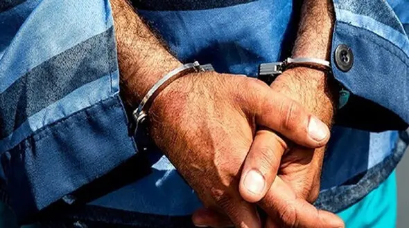 سرقت‌های سریالی با هدف تبدیل شدن به خواننده زیرزمینی مشهور 