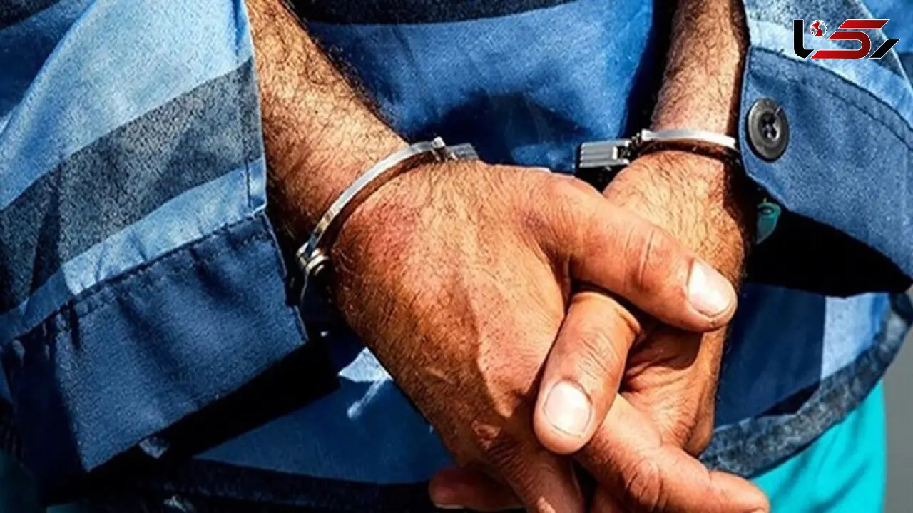 سرقت‌های سریالی با هدف تبدیل شدن به خواننده زیرزمینی مشهور 
