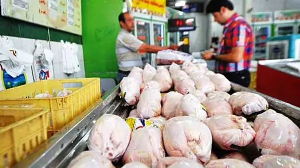 ذخیره سازی ۱۵۰۰ تن مرغ منجمد در لرستان