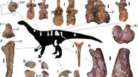 کشف غول پیکرترین دایناسور دنیا