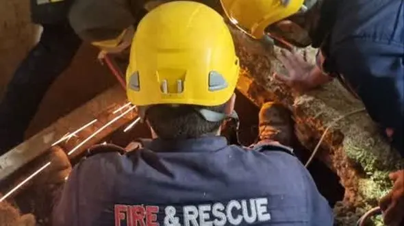 سقوط اسب باردار به زیرزمین اسطبل! / آتش نشانان وارد عمل شدند +فیلم