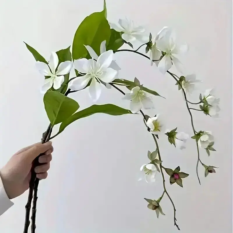 گیاهان آپارتمانی