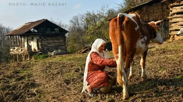 عکسهای جذاب از زندگی بانوی جنگل نشین لتکاکی 