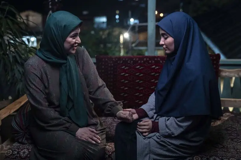 گزارش تصویری از قسمت دوم پایتخت ۷
