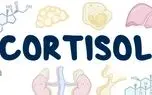 کورتیزول چیست؟ / جدول های کورتیزول