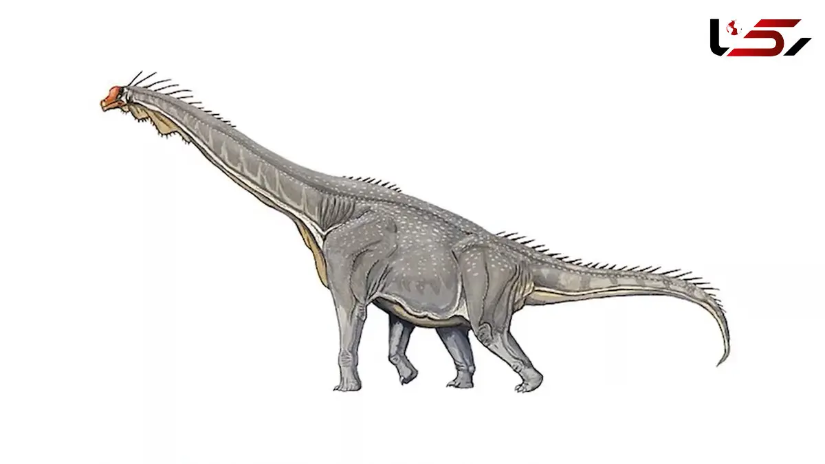 فیلم ردپاهای شگفت انگیز دایناسور در مغولستان