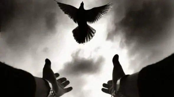 پایان کابوس 8 سال اعدام یک روز قبل از قصاص / در کرج رخ داد