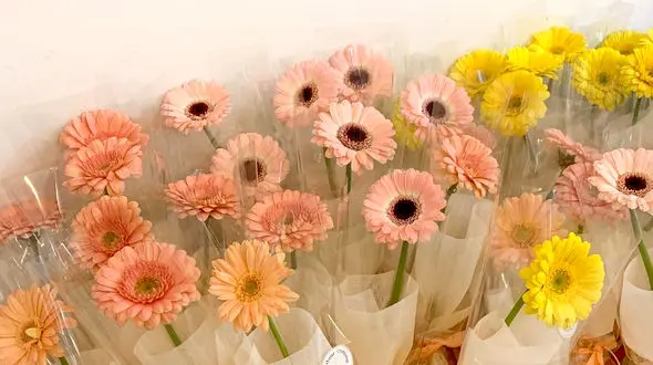 فال ابجد امروز / 21 بهمن + فیلم