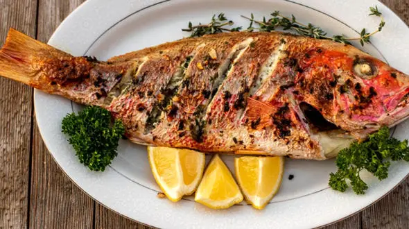 از دریا تا بشقاب /  داستان یک ماهی خوش‌طعم + فیلم