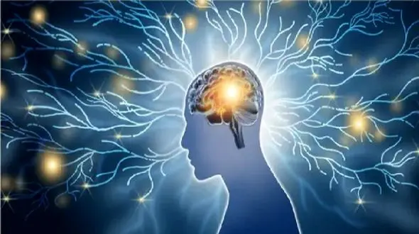 اسکیزوفرنی زیر ذره‌ بین هوش مصنوعی: دقت 91 درصدی