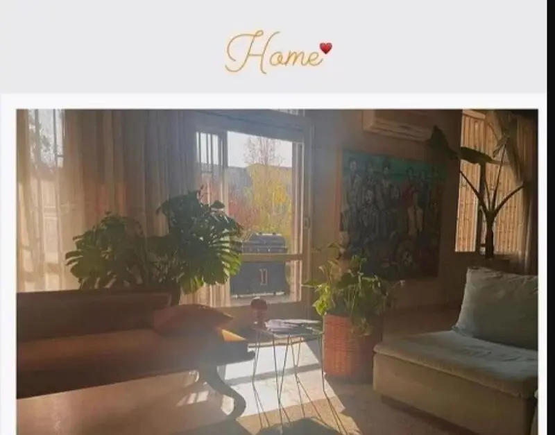 چیدمان منزل فرشته حسینی و نوید محمدزاده