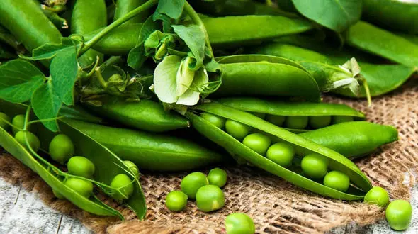 8 سبزی ارزان که به لاغری شما کمک می‌ کند + جدول