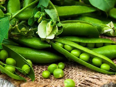 8 سبزی ارزان که به لاغری شما کمک می‌ کند + جدول