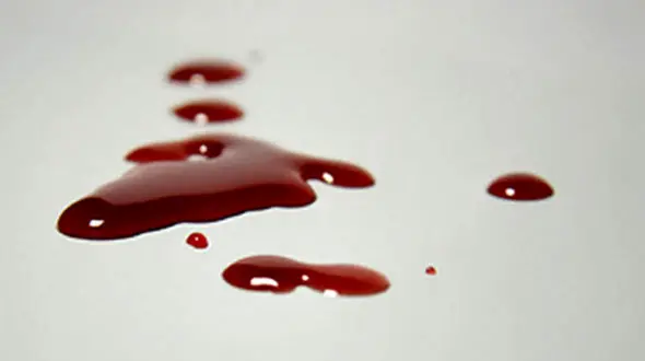 جنایت در صومعه سرا / پدر بی‌رحم پسرش را کشت 