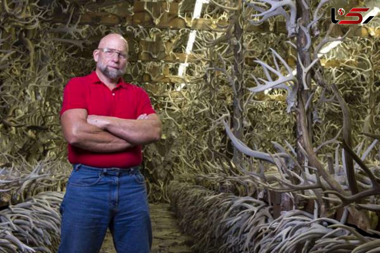 16 هزار شاخ گوزن در خانه ای کشف شد