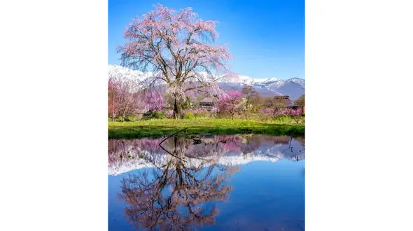 پیشگویى هاى امشب نوستراداموس + فیلم