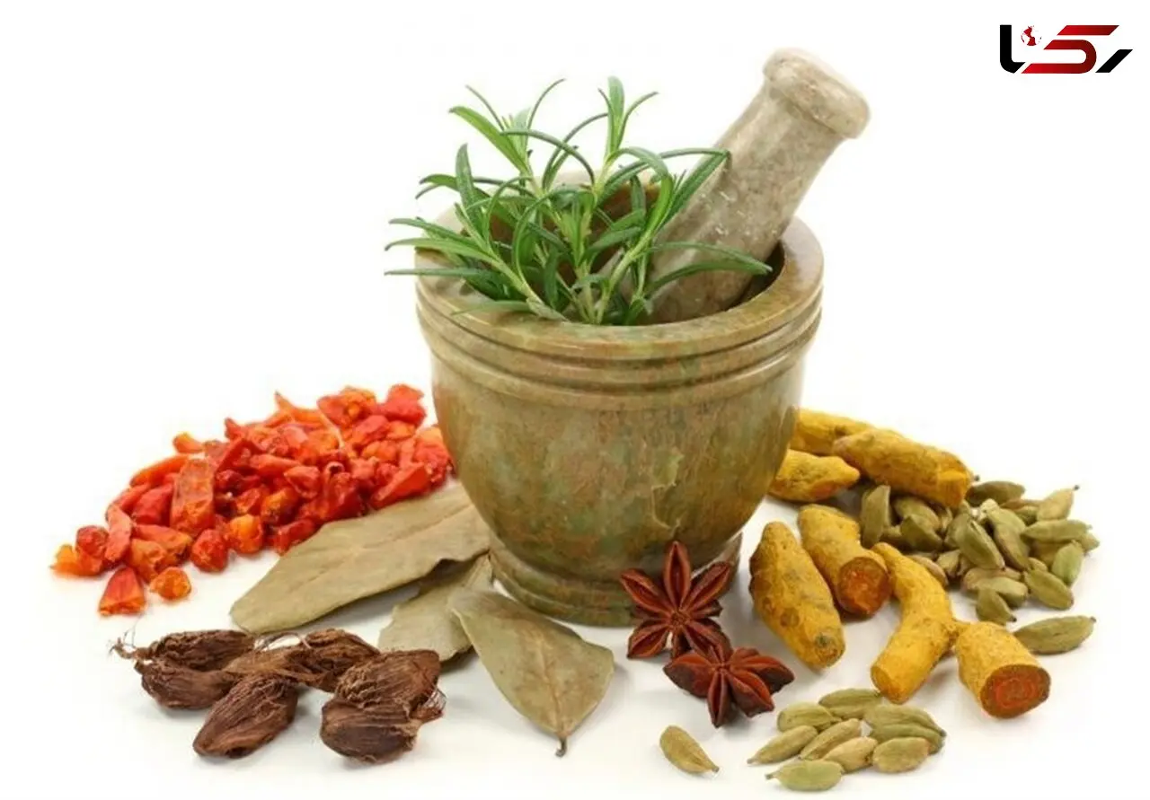 از بین بردن بوی بد دهان با گیاهان معطر