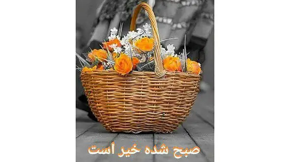 فال روزانه شخصی/ اول مرداد ماه + فیلم