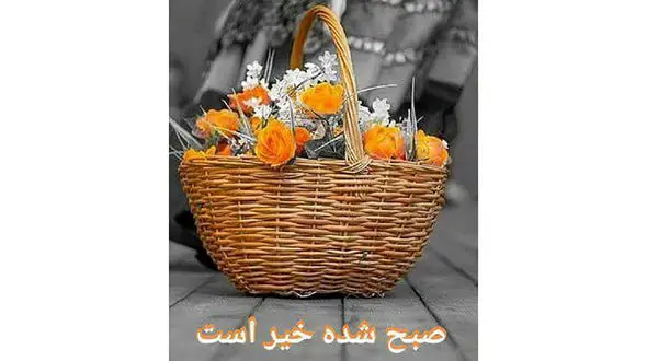 فال روزانه شخصی/ اول مرداد ماه + فیلم