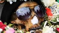 عجیب‌ترین مراسم خاکسپاری در جهان + عکس ها