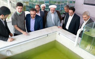 بازدید معاون وزیر جهاد کشاورزی از بزرگترین واحد مسقف پرورش ماهیان زینتی خاورمیانه در قزوین 