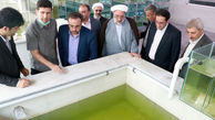 بازدید معاون وزیر جهاد کشاورزی از بزرگترین واحد مسقف پرورش ماهیان زینتی خاورمیانه در قزوین 