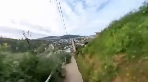 از فیلم چتر دریایی یخ زده تا یک روز معمولی در استرالیا 