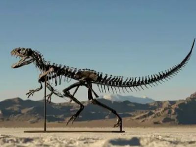 جالب‌ترین دانسته‌ ها درباره آلودگی هوا در دوره دایناسورها