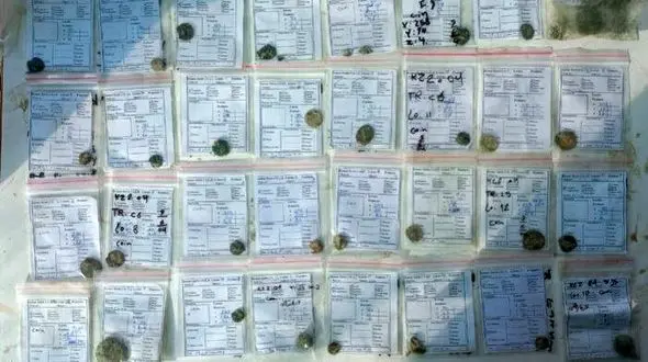 کشف گنج نفیس  و عتیقه در محله کمر زرین اصفهان